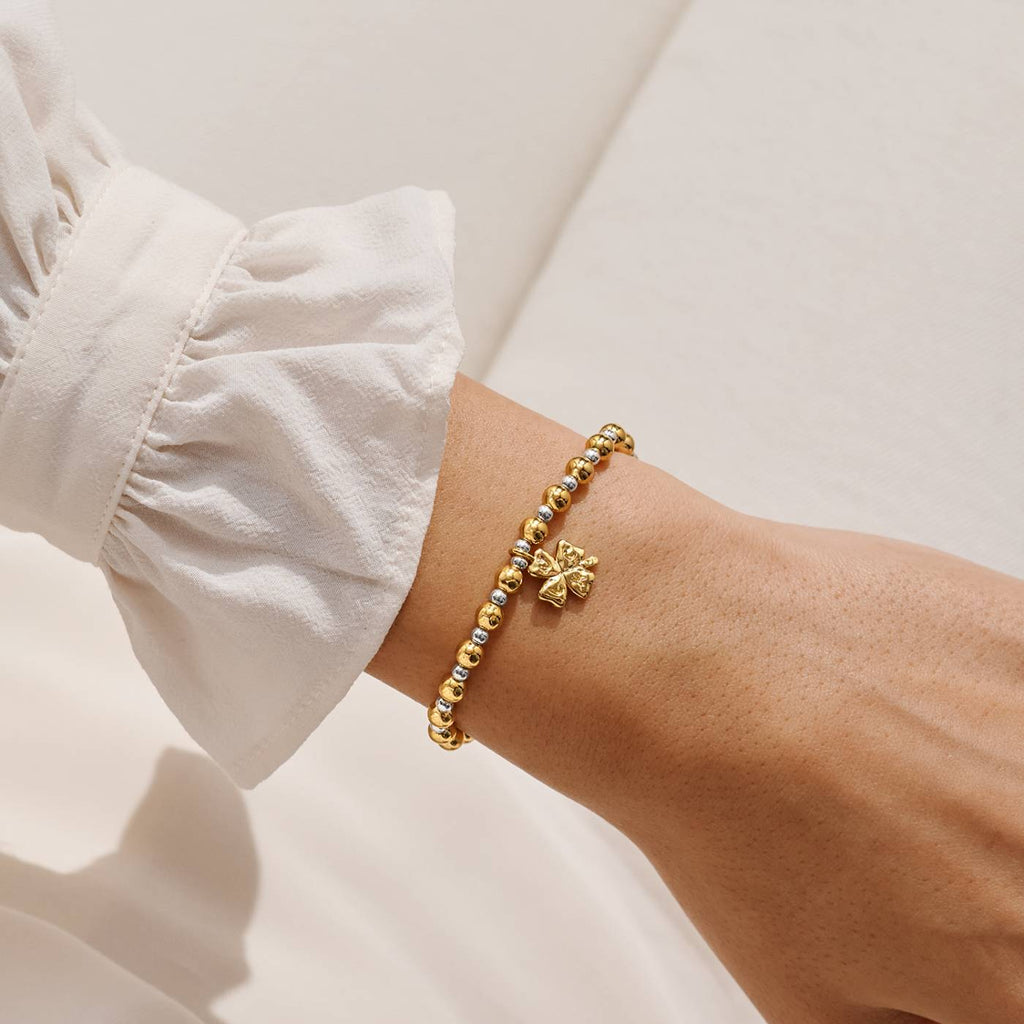 WORDS TO TREASURE | LUCKY SP B'let by Joma