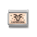 NOM CAPRICORN ROSE GOLD - ZODIAC IC