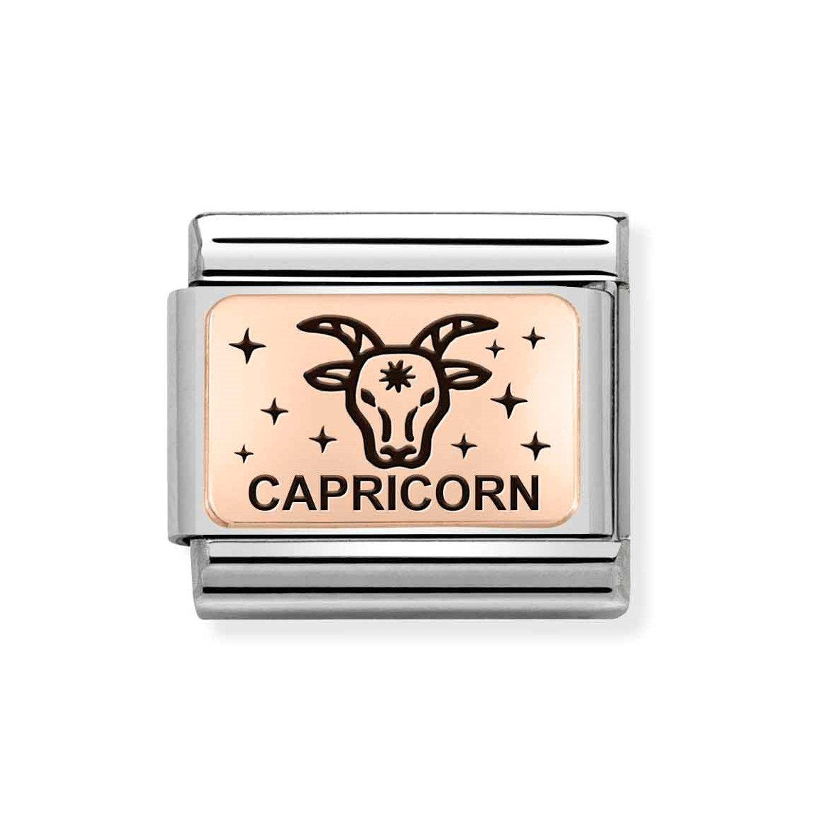 NOM CAPRICORN ROSE GOLD - ZODIAC IC