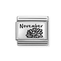 NOM DAISY NOVEMBER CHRYSANTHEMUM - FLOWER PLATES IC