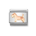 NOM ROSE GOLD DOG - SYMBOLS