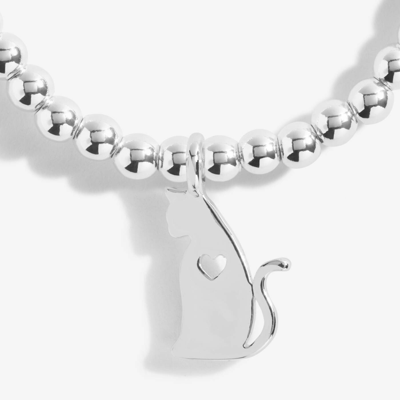 a little LIFE IS BETTER WITH CATS SP BLET 5218
