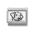 NOM DOG SILV SHINE - OX PLTE