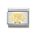 NOM GOLDEN RETRIVER GOLD - SYMBOLS