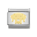 NOM LABRADOR RETRIVER GOLD - SYMBOLS