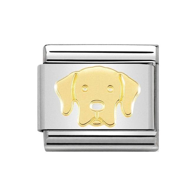 NOM LABRADOR RETRIVER GOLD - SYMBOLS