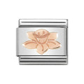 NOM ROSE GOLD DAFFODIL