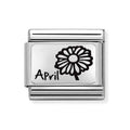 NOM DAISY APRIL - FLOWER PLATES IC