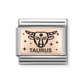NOM TAURUS ROSE GOLD - ZODIAC IC