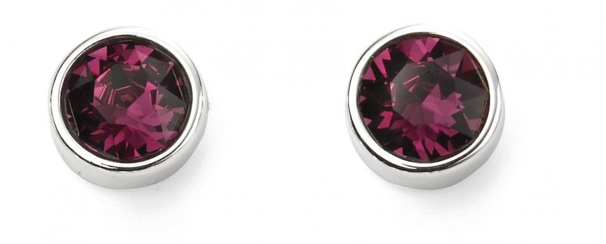SILV RND AMETHYST SWAROVSKI FEBRUAR RUBSET STUD ER