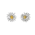SILV & GOLD PLTE MICHAELMAS - SEP FLOWER ERS