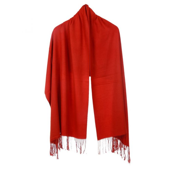 Pashmina Scarf with Delicate Tassels