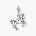 T SABO SILV HORSE CHARM