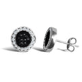 9WG CZ RND BLK & WHT HALO STUD ERS