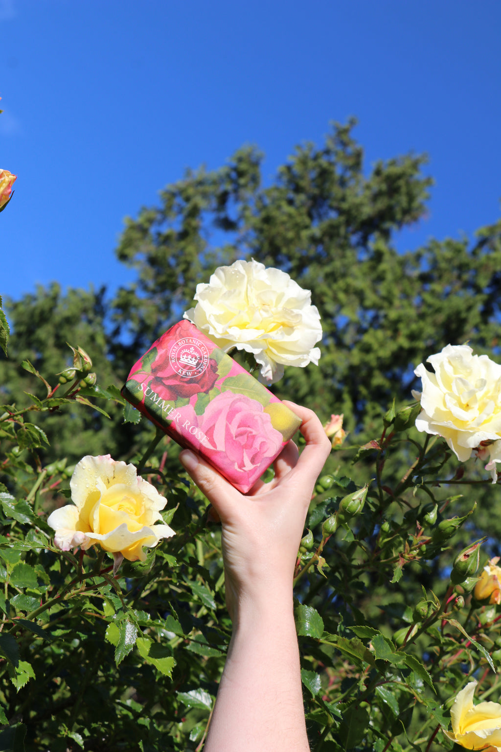 KEW GARDENS SUMMER ROSE SOAP 240G BAR by CHRISTINA MAY