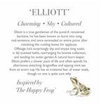 FROG - MEDIUM PLUSH SOFT "ELLIOTT" TEDDY