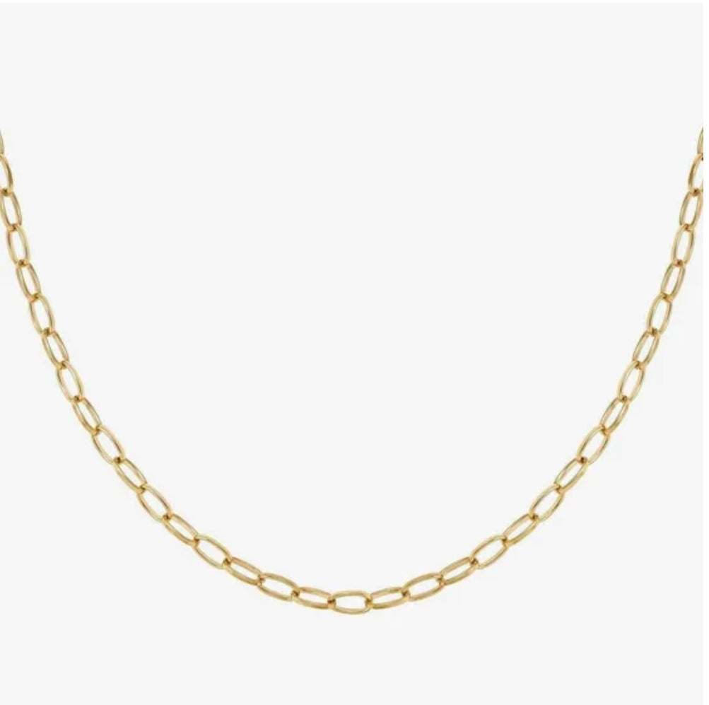 Nomination Ecclettica Long Oval Link Gold PVD Plated Steel Chain Necklet