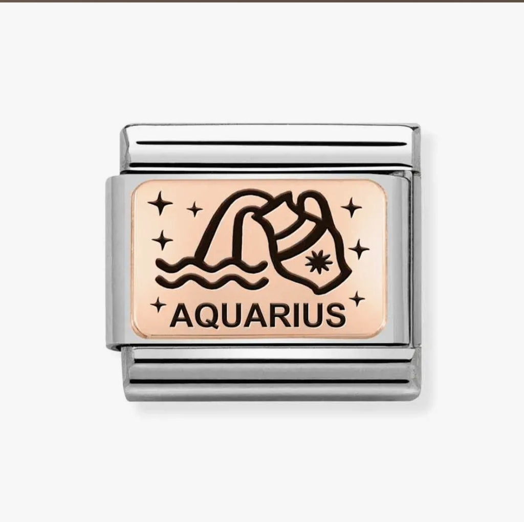 430112/11 NOM AQUARIUS ROSE GOLD ZODIAC CHARM
