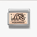 430112/11 NOM AQUARIUS ROSE GOLD ZODIAC CHARM