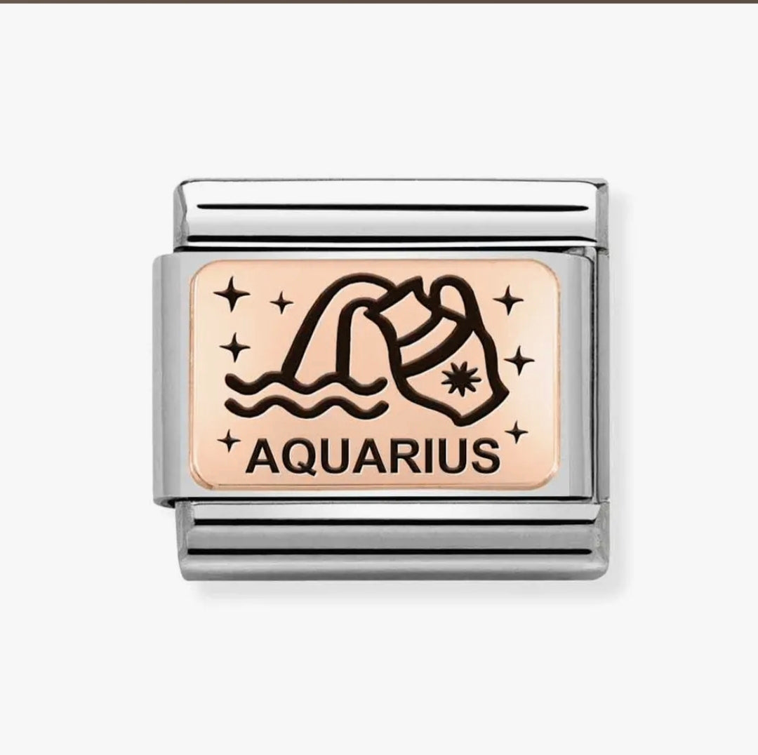 430112/11 NOM AQUARIUS ROSE GOLD ZODIAC CHARM